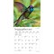 Plato; Hummingbirds | 2027 7 x 14 Inch (Hanging) Monthly Mini Wall Calendar | Foil Stamped Cover; Category:Wall Calendars; Image:5